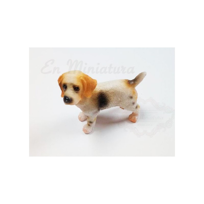 Perro en miniatura Beagle