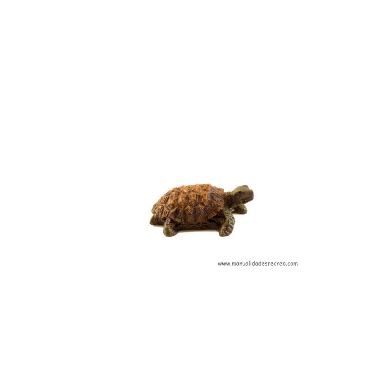 tortuga en miniatura