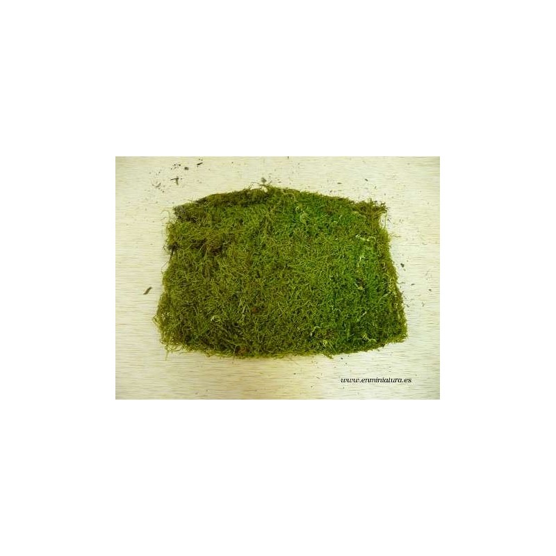 bolsa de musgo natural en color verde para belenes o maquetas