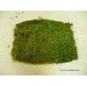 bolsa de musgo natural en color verde para belenes o maquetas